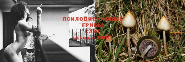 спиды Нефтекумск