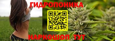 гашик Азнакаево